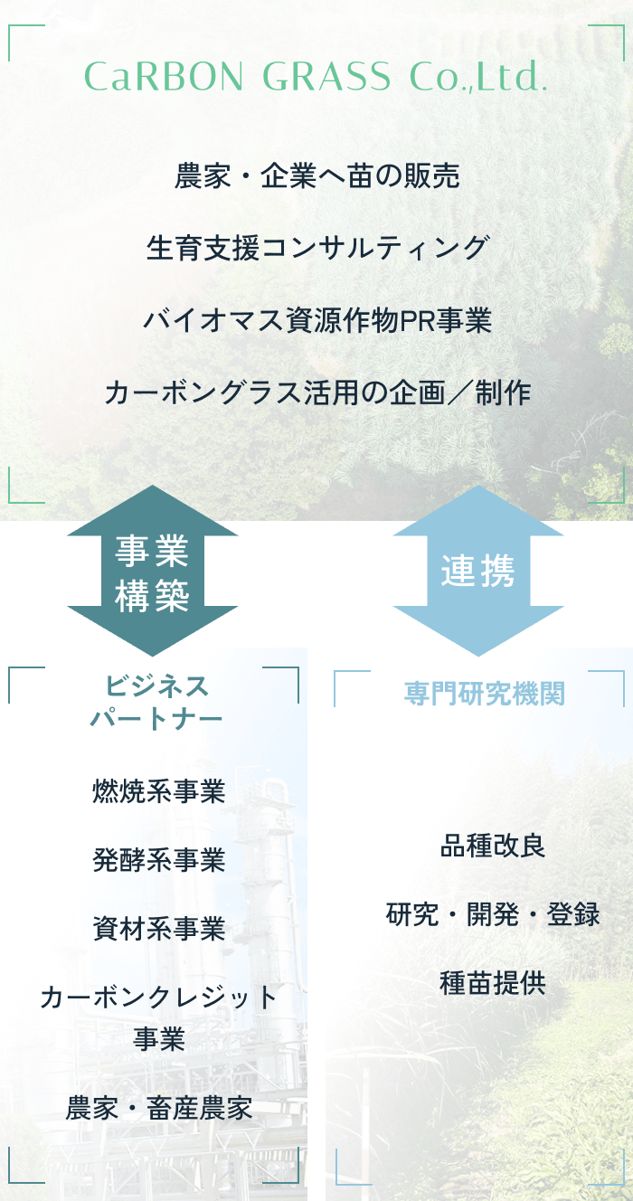 カーボングラス株式会社の役割である農家・企業へ苗の販売／育成支援コンサルティング／バイオマス資源作物PR事業／カーボングラス活用の企画・制作を通じて、燃焼系事業、発酵系事業、資材系事業等のビジネスパートナーとの関係構築、品種改良、研究・開発・登録、種苗提供を行う専門研究機関との連携を確立を可能にしています。